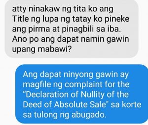 Declaration of Nullity of the Deed of Absolute Sale